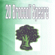 20 Broccoli Spears