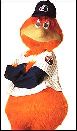 Youppi!, yesterday