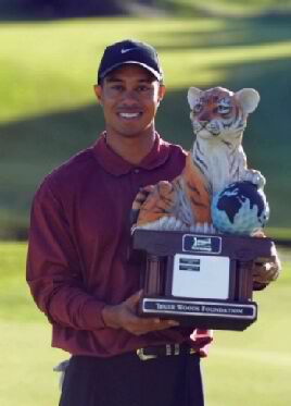 Smile Tiger, they're paying you more than Mexico!